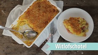 RECEPT  Witlofschotel met ham en kaas [upl. by Caneghem749]