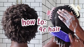 Curly Hair 101 Beginners Guide to 4C Hair [upl. by Anirbas]