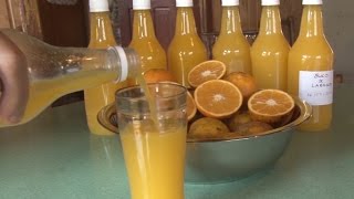 Receita Suco pasteurizado de laranja  Programa Rio Grande Rural [upl. by Ettereve]