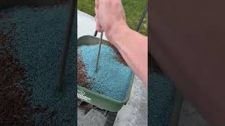 Reseeding my lawn after sand leveling pt 6 lawn diy [upl. by Fritze]