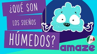 ¿Qué son los sueños húmedos México [upl. by Agnimod]