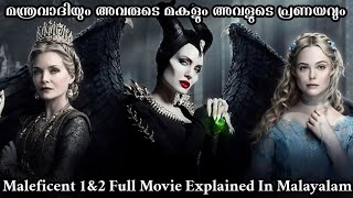 Maleficent 1 amp 2 Full Movie Explained In Malayalam  Fantasy Movie Explanation In Malayalam [upl. by Weslee135]