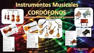 🎻INSTRUMENTOS MUSICALES 🎻​Cordófonos 🪕​ Cuerda Frotada Pulsada y Percutida [upl. by Norb]