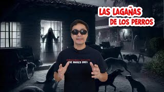 Las lagañas de los perros 💀 paranormal scary horrorstory leyendasurbanas [upl. by Enajyram]