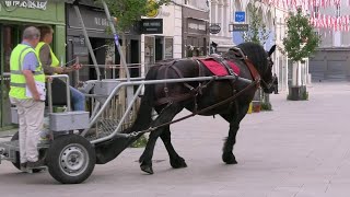 Doupette la percheronneéboueuse au Mans [upl. by Noelani]