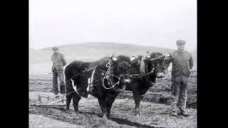 Crofters And Crofting Scotland 2 [upl. by Arihday752]