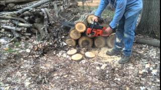 RARE Craftsman 42 chainsaw form of Poulan 4200 in craftsman red colors [upl. by Ojahtnamas]