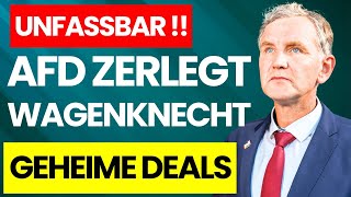 💥EILMELDUNG AFD ZERLEGT MIT BJÖRN HÖCKE DAS WAGENKNECHT BÜNDNIS – HIER DIE WAHRHEIT WAHRHEIT💥 [upl. by Anauqahc]