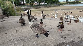 Hollingworth Lake 13 Sept 24 [upl. by Ecahc13]