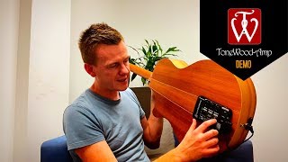 TONEWOODAMP DEMO amp BREAKDOWN [upl. by Berard]