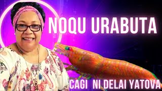 Noqu Ura Buta  Cagi ni Delai Yatova [upl. by Ellehcor]