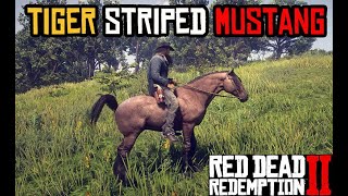 How to get Tiger Striped Mustang as Arthur Angelo Bronte mission glitch  RDR 2 [upl. by Eidorb]