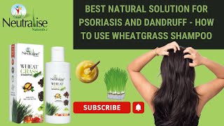 How to Use Wheatgrass Shampoo  scalppsoriasis  dandruff  Neutralise Naturals  English [upl. by Marcellina690]