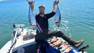 The Moreton Bay Flats are GOING OFF Snapper and Pelagics in shallow water [upl. by Rodolphe191]