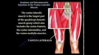 Vastus Lateralis intramuscular Injection  Everything You Need To Know  Dr Nabil Ebraheim [upl. by Naamann]