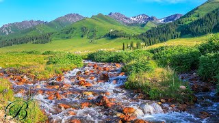 Gentle Mountain Stream Sounds  Perfect Sleep Aid for an Undisturbed Nights Rest [upl. by Conrade519]