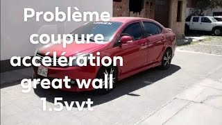 شرح تفصيلي وحصري حول coupure accélération great wall floride volex c30 15vvt [upl. by Mulry]