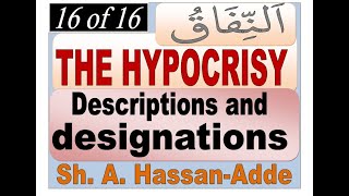 THE HYPOCRISY 16Descriptions and designations [upl. by Oryaj]