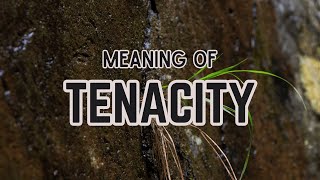 What is the meaning of Tenacity [upl. by Aldora535]