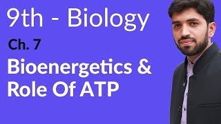 Matric part 1 Biology Bioenergetics and role of ATP  Ch 7 Bioenergetics  9th Class Biology [upl. by Helaina]