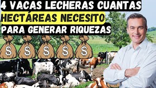 4 vacas lecheras cuantas hectáreas necesito PARA GENERAR RIQUEZAS [upl. by Corkhill460]