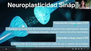 Neuroplasticidad Sináptica y Funcional Trabajo Unidad 2 [upl. by Elvyn]