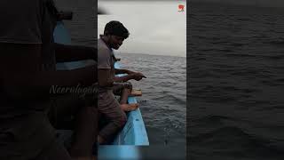 Blacktip Trevally Caught Using Live Prawn Baits fishing fishingvideo deepseafishing [upl. by Godard849]