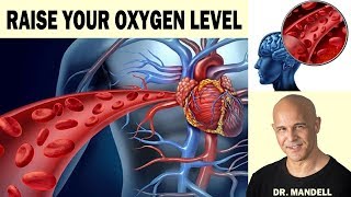 HOW TO NATURALLY RAISE OXYGEN BLOOD LEVELS FOR THE BRAIN HEART BODY  Dr Alan Mandell DC [upl. by Bradleigh438]