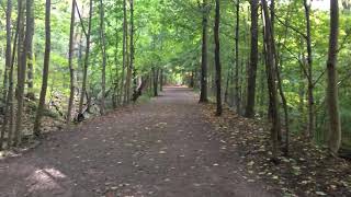 Chedoke Radial Trail [upl. by Lleksah]