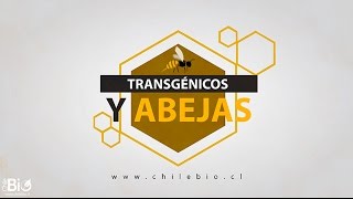 Chilebio quotTransgénicos y abejasquot [upl. by Junius]