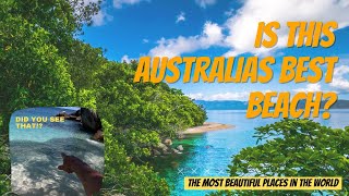 Is this AUSTRALIAS BEST BEACH   Fitzroy Island [upl. by Ahsinrev]