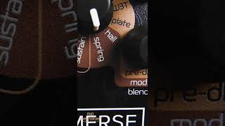 Neunaber Audio  Immerse Reverberator MKII Spring Reverb SHORTS [upl. by Ecyak]