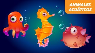 ANIMALES ACUATICOS para niños 🐬🐠  CUÁLES SON los animales acuáticos🐳 Animales Marinos [upl. by Nnylidnarb]