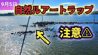 【注意】ルアートラップにしばらく注意が必要です… 旧江戸川シーバス 旧江戸川クロダイ [upl. by Trebled]