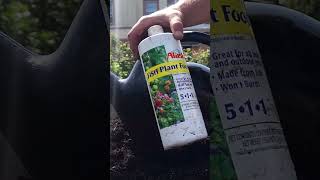 How I Mix Garden Soil gardening garden [upl. by Mesics211]