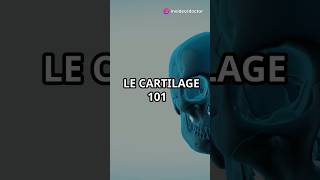 Types de cartilages osseux expliqué [upl. by Fan221]