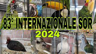 83°edizione dellINTERNAZIONALE SOR 2024 Modena fiere ex Reggio Emilia VIDEO COMPLETO [upl. by Roybn266]