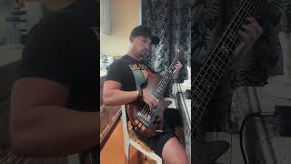 Habana abierta bass cover [upl. by Aneeuqal30]