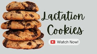 Lactation Cookies Recipe  Quick Easy Lactation Cookies Recipe [upl. by Arracat]