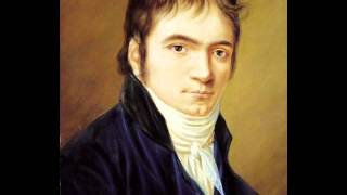 Beethoven Largo from Oboe Concerto in F Major Hess 12 [upl. by Nitnelav]