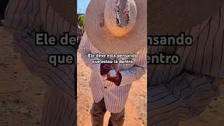 filmes faroeste western [upl. by Aronoel]