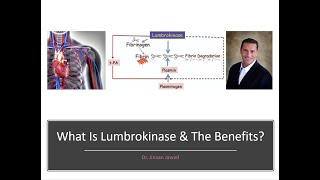 What Is Lumbrokinase and The Benefits [upl. by Kcirdahc]