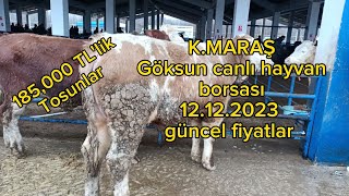 GÖKSUN CANLI HAYVAN PAZARI GUNCEL FİYATLARI hayvanpazari büyükbaşhayvancılık küçükbaş [upl. by Bradford42]