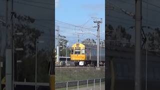 ICE at KippaRing australiantrains queenslandrail railfanning [upl. by Submuloc]