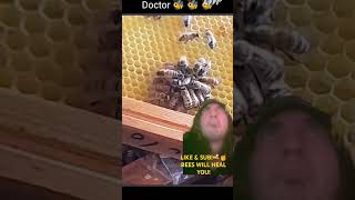 Healing Doctor Bees bees shorts greenscreen health healing doctor nature [upl. by Sugihara]