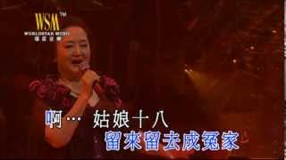 劉韻丨姑娘十八一朵花丨情牽金曲百樂門演唱會 [upl. by Bresee]