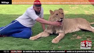 🔴Noticia  Abdel el joven libio que tiene un león como mascota [upl. by Juli447]