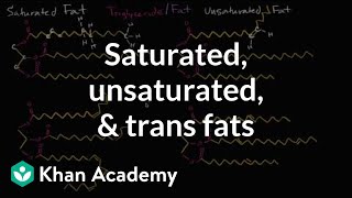 Saturated fats unsaturated fats and trans fats  Biology  Khan Academy [upl. by Rhyner111]