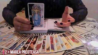 SECRETUL ZILEI DE NASTERE DEZVALUIT PRIN TAROT [upl. by Sewole]