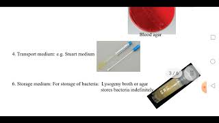 Bacterial Culture Media amp Growth Curve [upl. by Mathews]